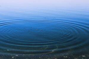 The Ripple Effect of Private Philanthropy in Public Education