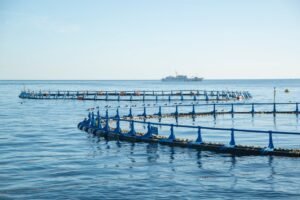 Why the 2026 Fisheries Assessment Matters for Tomorrow’s Marine Scientists